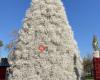 Tumbleweed Christmas Tree
