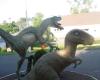 Velociraptor & Allosaurus Statues