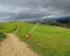 Vista Slope At Shoreline Park