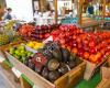 Wallkill View Farm Market