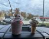 Wally's Frozen Custard