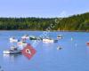 Wicked Awesome Maine Vacation Rentals