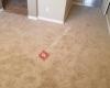 Xtreme flooring carpet installation and repair