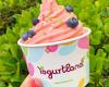 Yogurtland