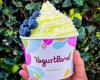 Yogurtland