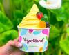 Yogurtland