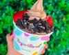 Yogurtland