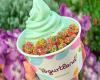 Yogurtland