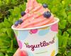 Yogurtland Encino