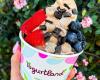 Yogurtland Lafayette