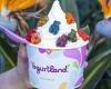 Yogurtland Laguna Niguel