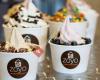 Zoyo Frozen Yogurt - South Gilbert