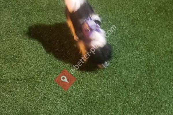 2nd and Hudson Street Dog Park