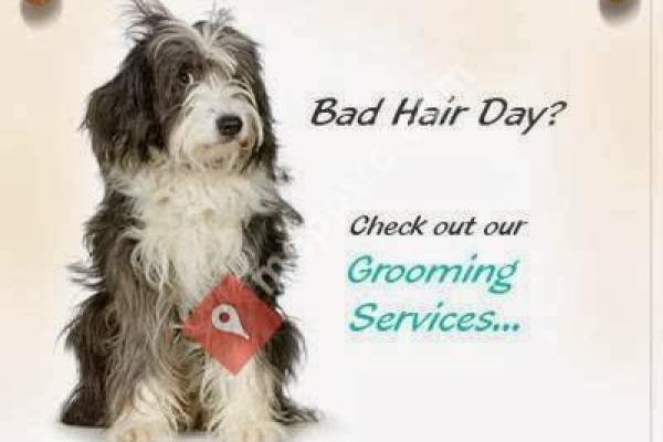 4 Paws Only Mobile Pet Grooming