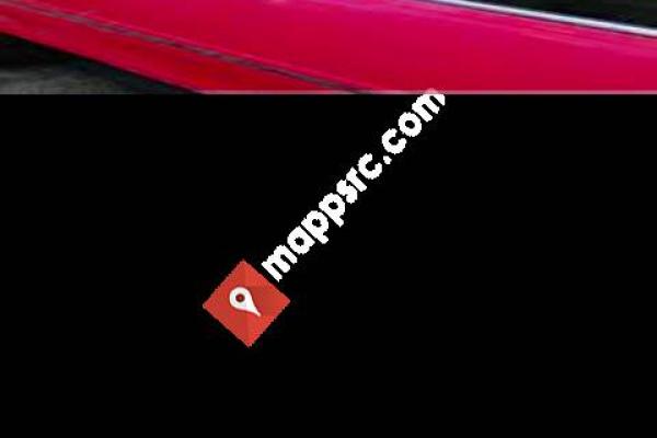 A-1 Action Limos & Car Service