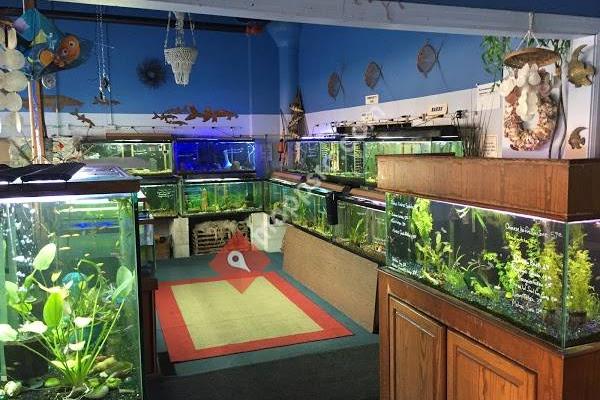 Advanced Aquarium Systems