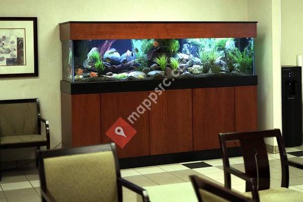 Affordable Aquarium Service