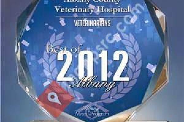 Albany County Veterinary Hospital