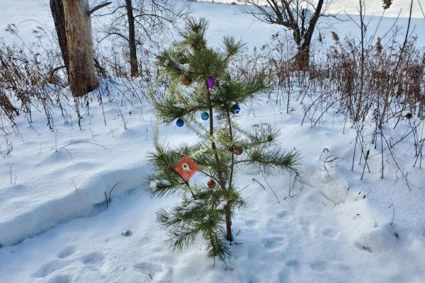 Albany Pine Bush Preserve