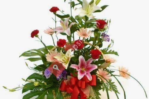 Angelito's Flowers of Golden Gate, LLC - Home Delivery Florist