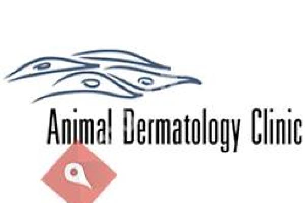 Animal Dermatology Clinic