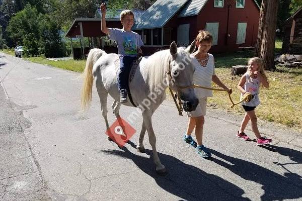 Another Attic Self Storage