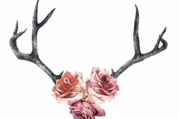Antlers Boutique & Beauty