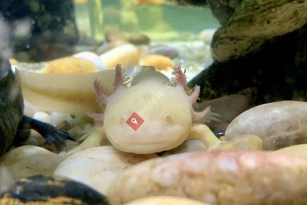 Aquarium & Shark Lab by Team ECCO