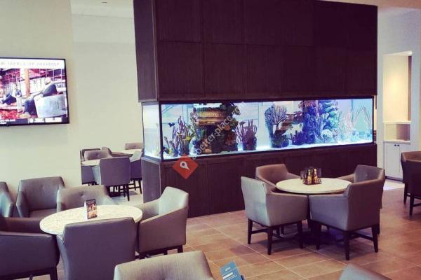 Aquatic Life Designs