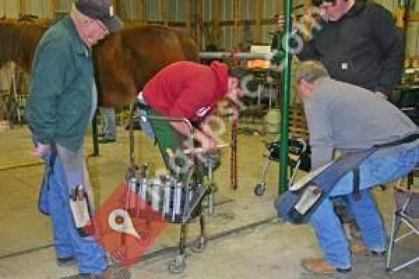 Arkansas Horseshoeing School