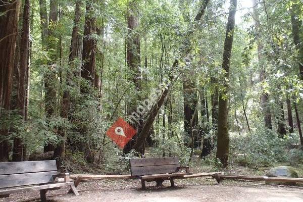 Armstrong Redwoods State Natural Reserve Visitor Center