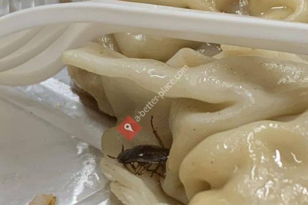 Asia Sushi & Chinese Cuisine