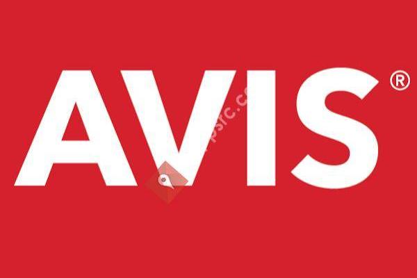 Avis Car Rental