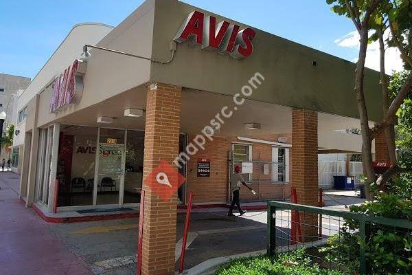 Avis Car Rental