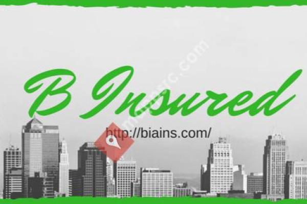 B Insured Agency, Inc.