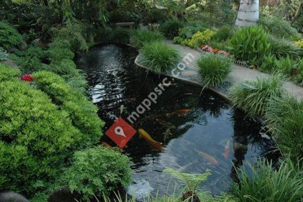 Bay Area Aquarium Maintenance