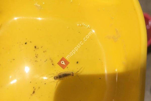 Beach At Oxnard Shores