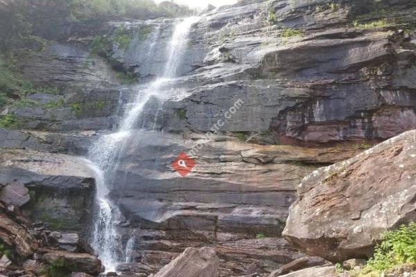 Bear Creek Falls Trail