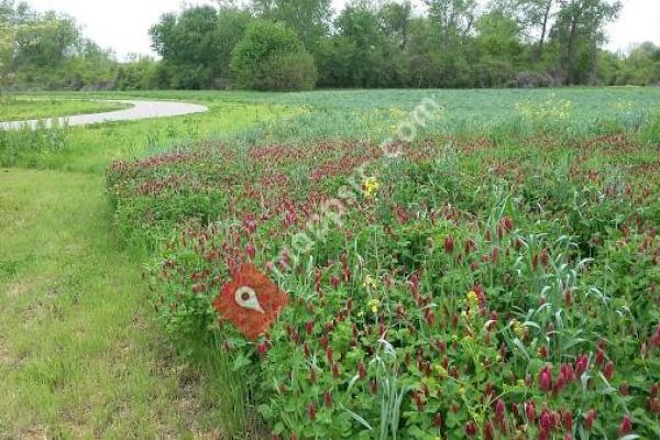 Bellefontaine Conservation Area