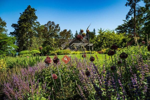 Bellevue Botanical Garden