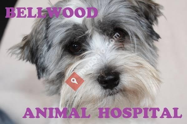 Bellwood Animal Hospital