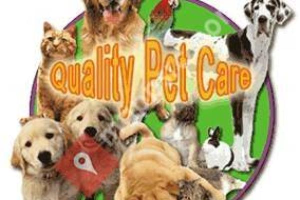 BEST VET Animal Hospital - Veterinarian Boynton Beach, FL