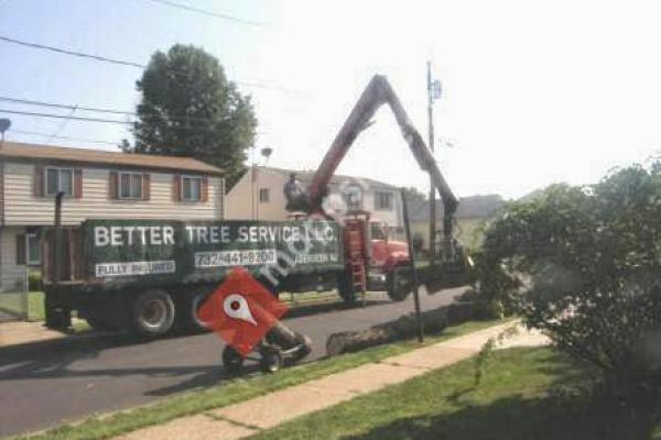 Better Tree Service