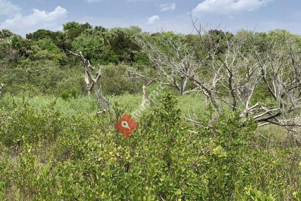 Betty Steflick Memorial Preserve