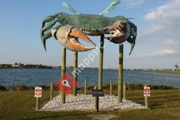 Big Blue Crab