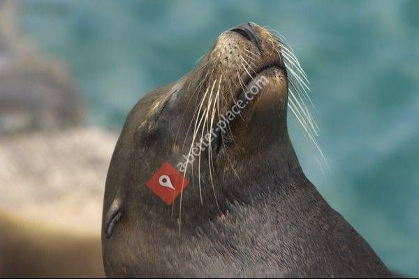 Bio Bio Expeditions Worldwide