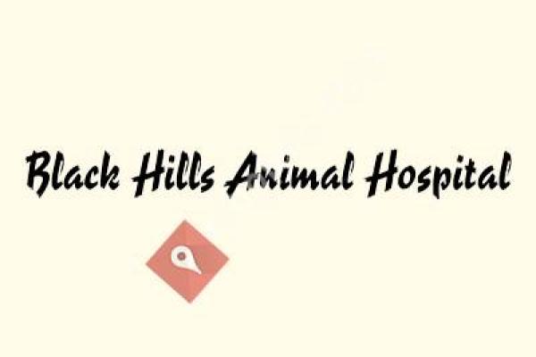 Black Hills Animal Hospital PA