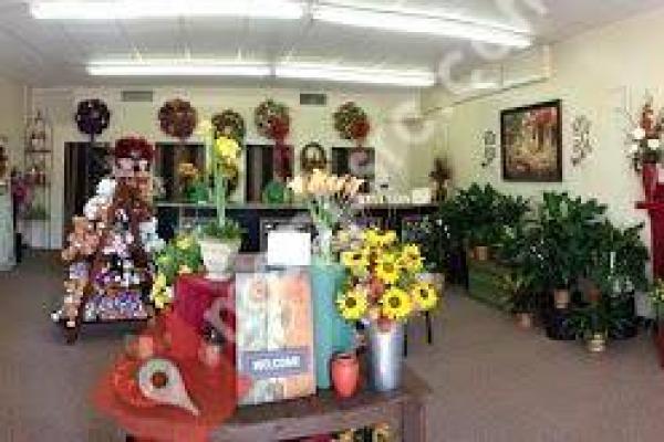 Bloomers Floral Design