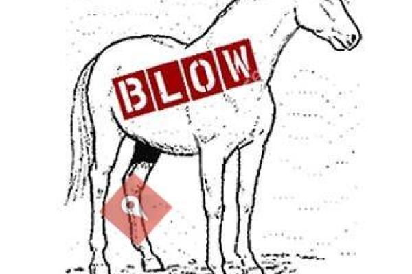 Blow Pony