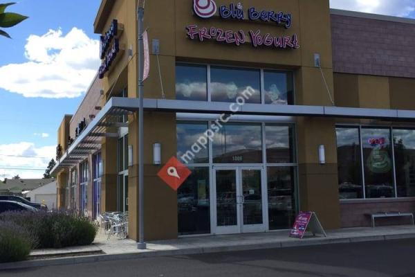 Blu Berry Frozen Yogurt